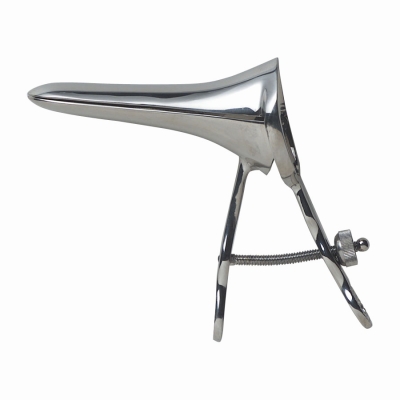 �N�X�R�@�i���j�i��Ìn���j