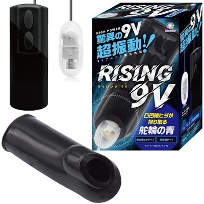 ���C�W���O�X�u�@�i�Ǘւ̐j�i�I�i�z�[���j