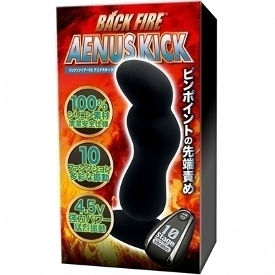 �o�b�N�t�@�C�A�[�P�O�@�A�G�i�X�L�b�N�i�A�i���g���O�b�Y�j