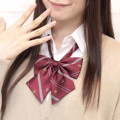 �X�N�[�����{���P�i�@��́i�R�X�`���[���j