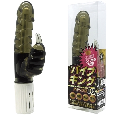 �o�C�u�L���O�c�w�@�i���N�@�X���[�N�j�i�o�C�u�j